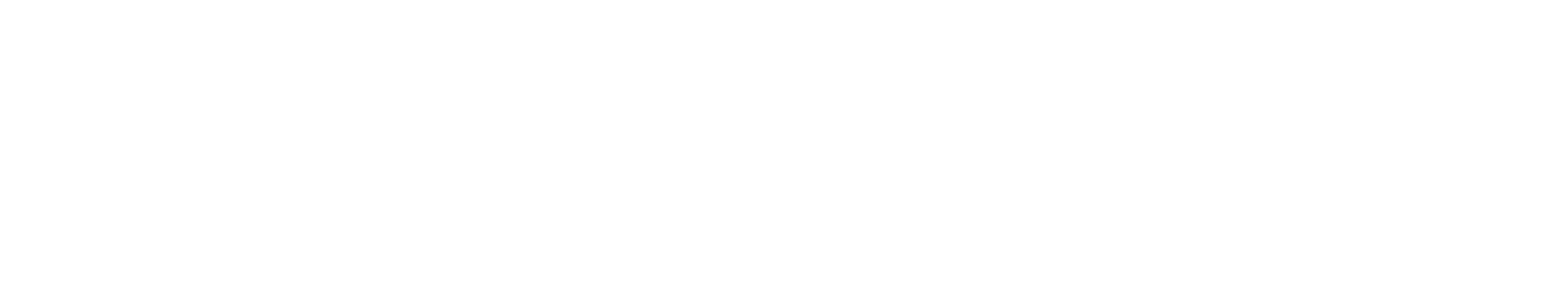Eastwing LLC